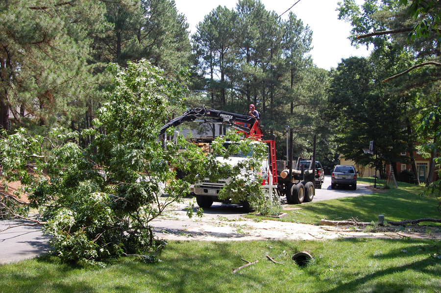 Ongoing tree removal for emergency services